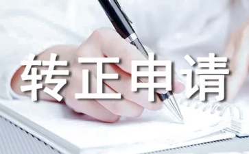 IT技術員轉正申請書