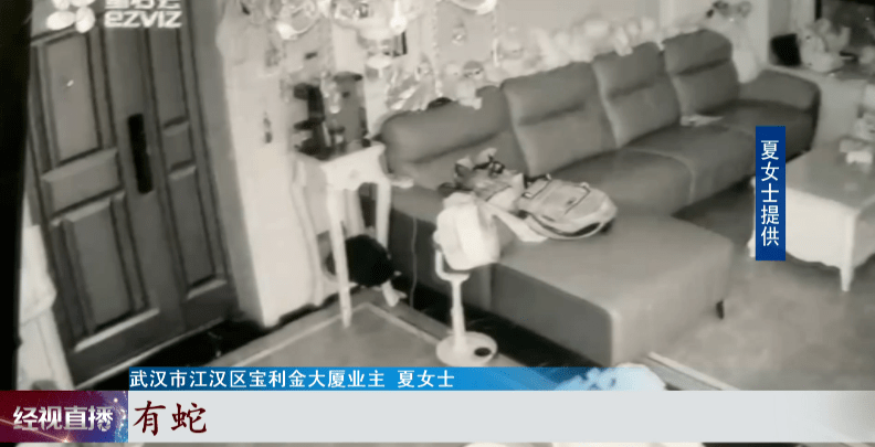 專業(yè)監(jiān)控安裝_武漢監(jiān)控安裝_武漢安裝監(jiān)控的公司