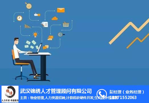 it外包市場(chǎng)分析及營(yíng)銷模式探討_it技術(shù)外包_上海it外包