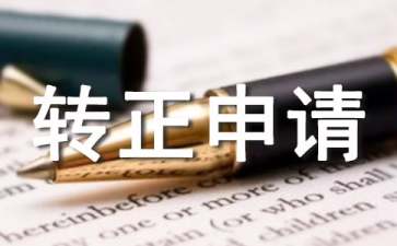 IT技術人員轉正申請書