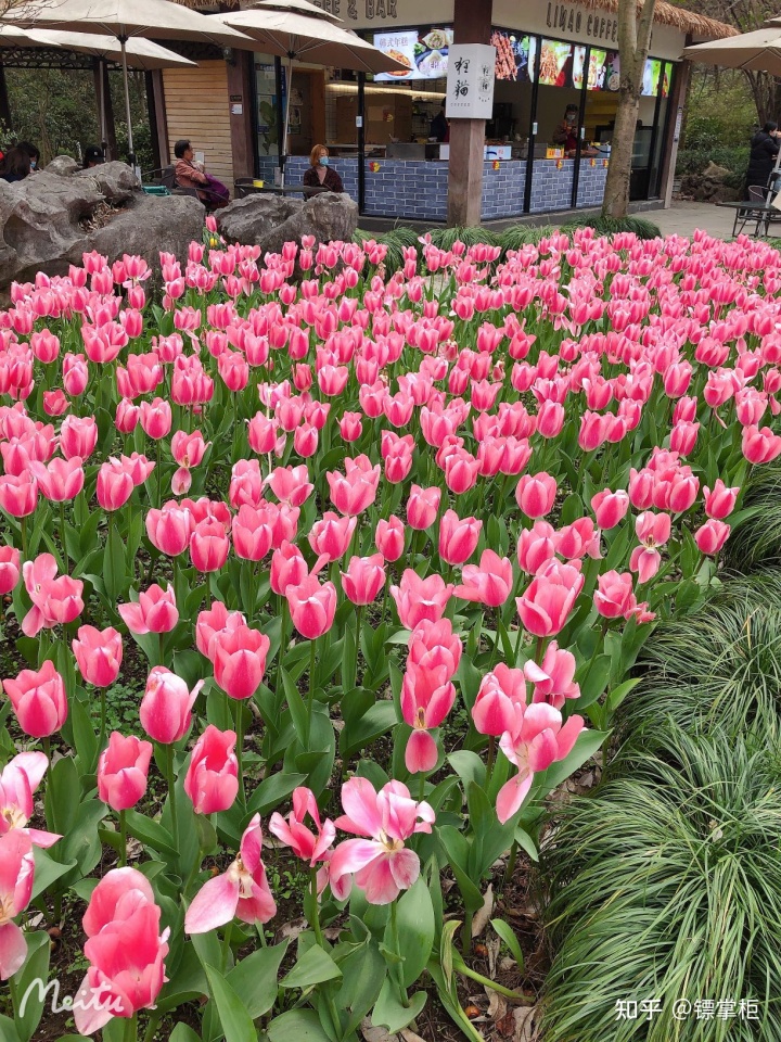 pc外包公司_外包公司不能入職客戶(hù)公司_科藍(lán)公司是外包公司嗎