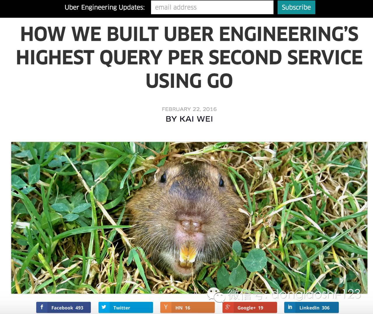 it技術公司_國內最好的it技術博客_it公司 互聯網公司